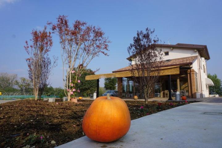 Agriturismo Campogrande Carpaneto Piacentino Exteriör bild